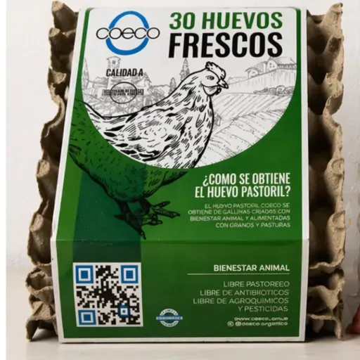 Maple de Huevos